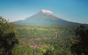 Amed Stop Inn Homestay, Rooftop Restaurant And Bar